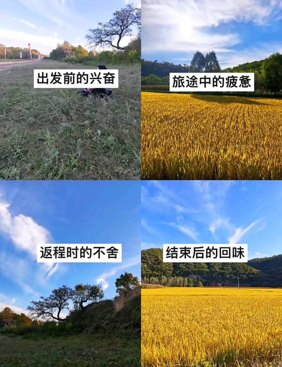 菊月风(2)《上品风》第525期 作者 毕林飞 赵禄惠 杨烈焰 任猷海 杨志高 李宗熙 张培兰 边丽萍 郝巧绒等 西安头条(图7)