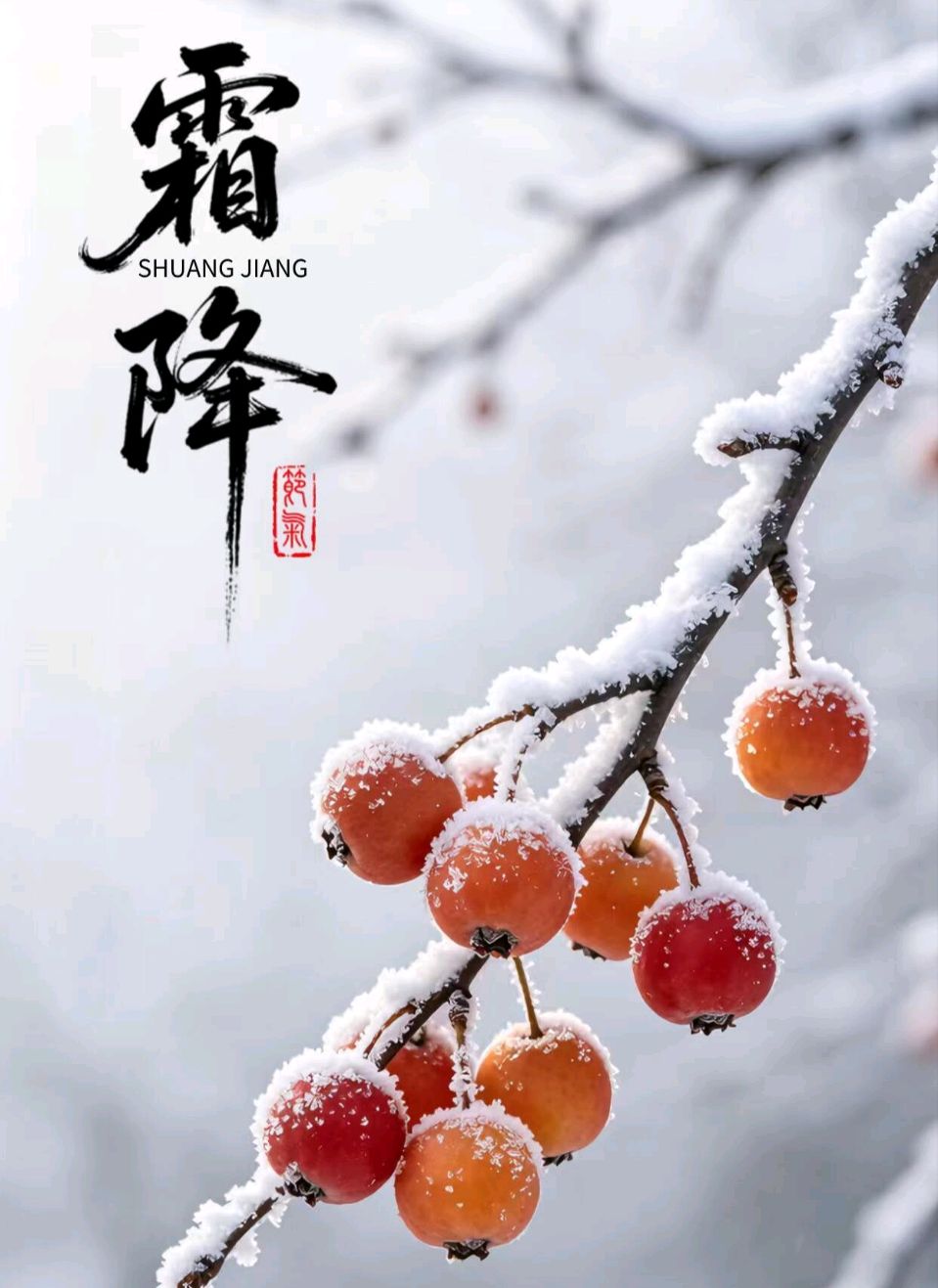 【京华诗词选刊第092期《霜降》专辑（图2）