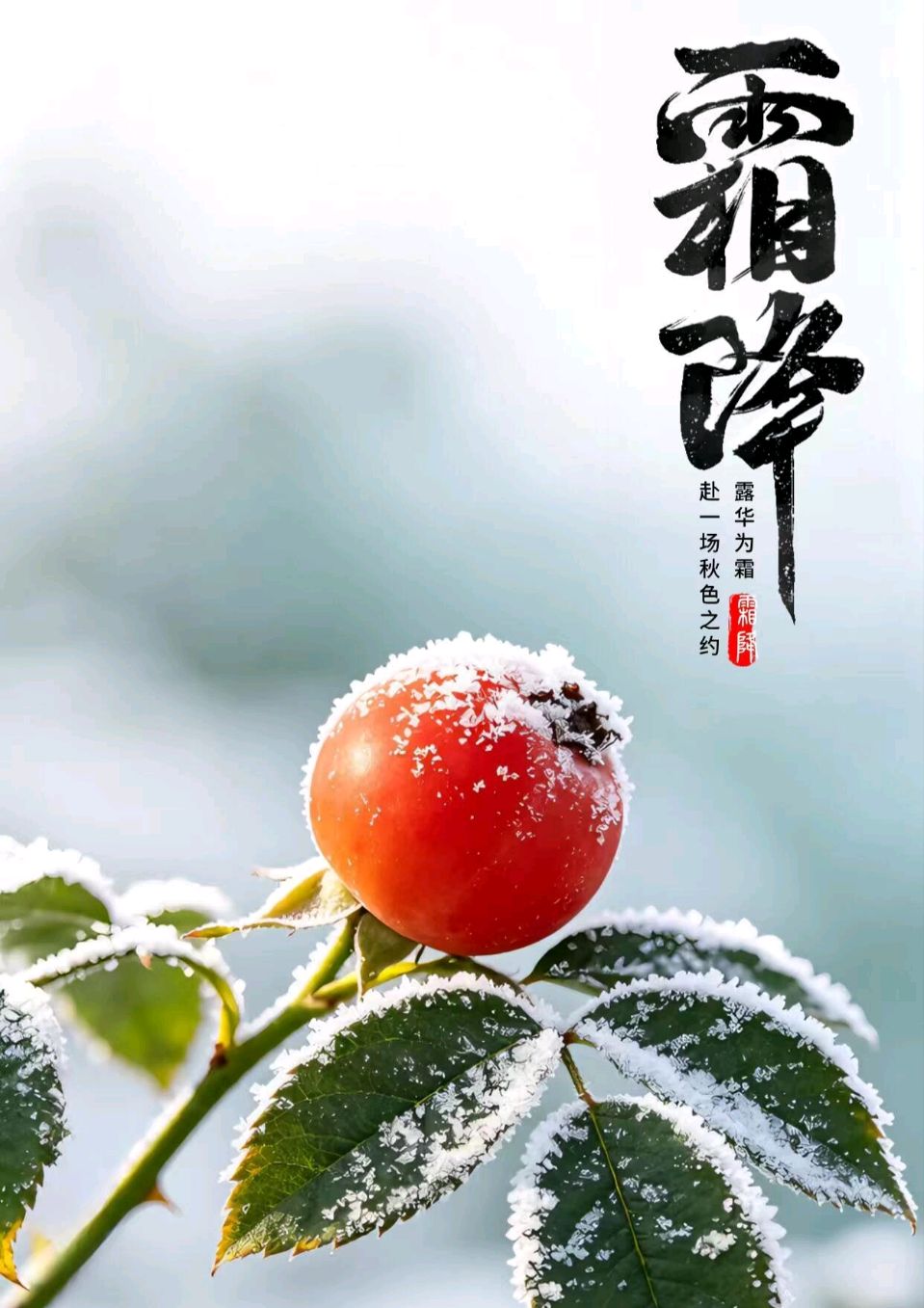 【京华诗词选刊第092期《霜降》专辑（图5）