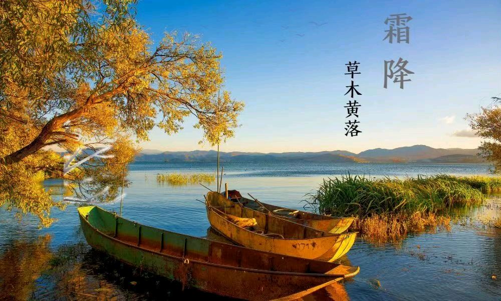 【北京头条】王楼诗歌专辑097期（图4）