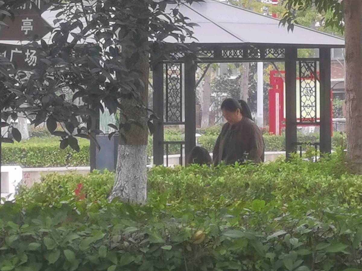 【北京头条】霜天寥廓入眸清,一镜收来万类情。枫火燃山红欲滴,菊金铺径灿相迎。排云雁字书斜照,蘸水芦花写乱明。莫叹秋深颜色老,镜头深处有春声(图2)