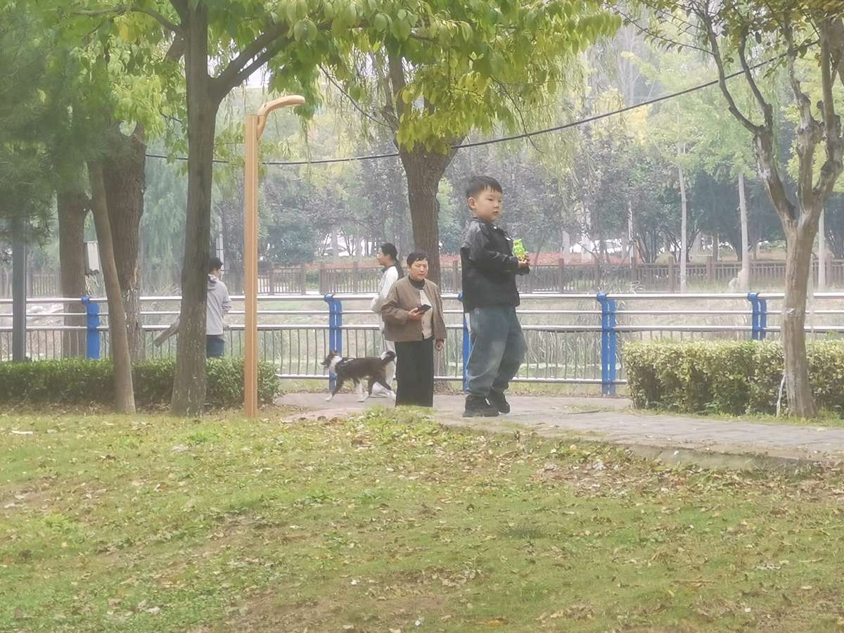 【北京头条】霜天寥廓入眸清,一镜收来万类情。枫火燃山红欲滴,菊金铺径灿相迎。排云雁字书斜照,蘸水芦花写乱明。莫叹秋深颜色老,镜头深处有春声(图6)
