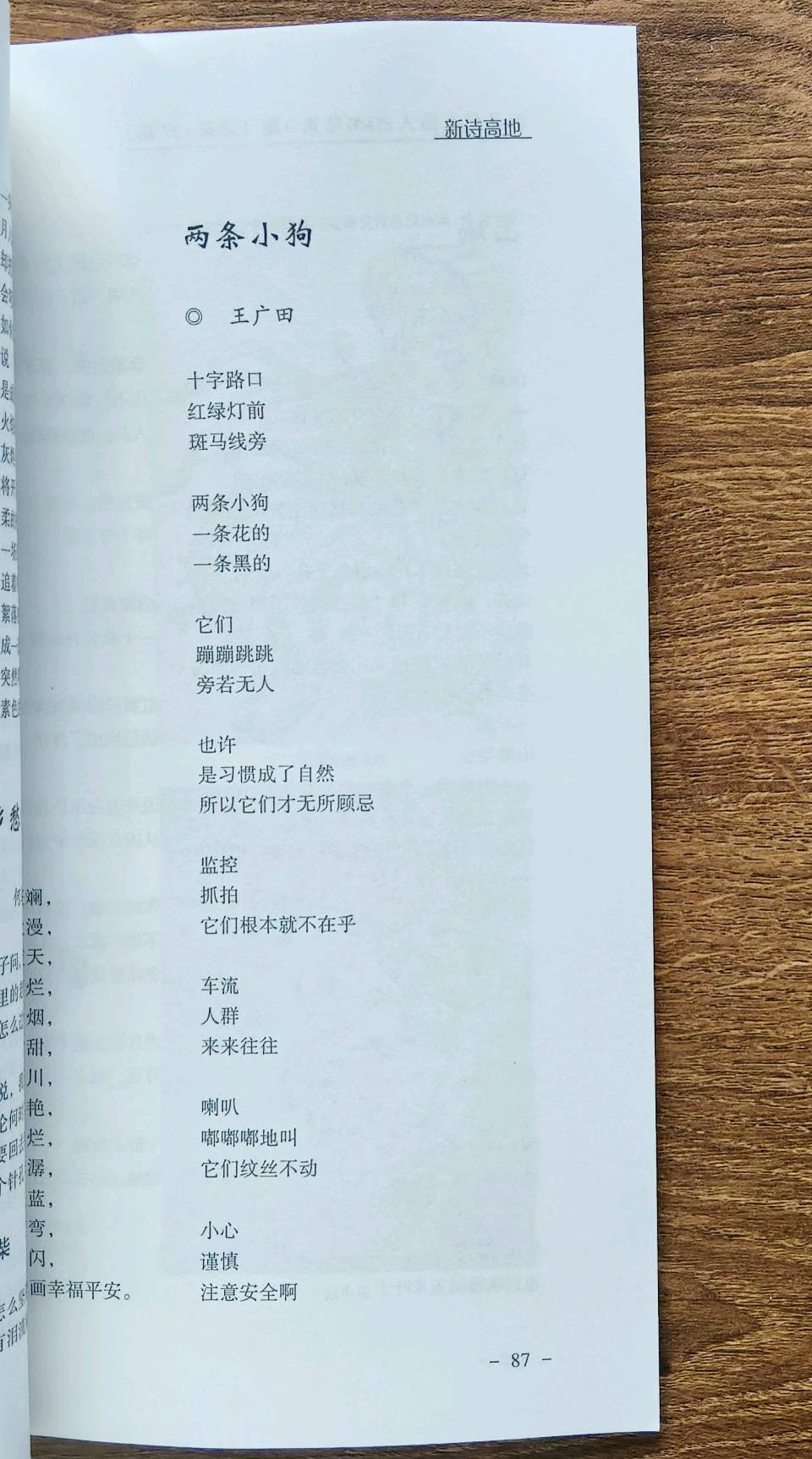 王广田:新诗《两条小狗》载《赤子乡土诗人》2026年第3期,存谢!(图2)