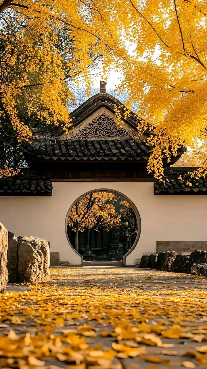 《一分钟读懂天下事:六部门1500项目落地、6G时间表敲定、俄乌美三方谈判十一月启动——365资讯简报2026.10.24》(图5)