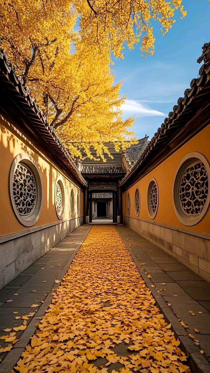 《一分钟读懂天下事:六部门1500项目落地、6G时间表敲定、俄乌美三方谈判十一月启动——365资讯简报2026.10.24》(图4)