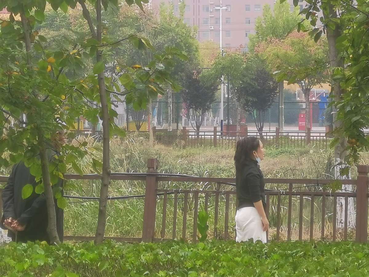 【北京头条】霜天寥廓入眸清,一镜收来万类情。枫火燃山红欲滴,菊金铺径灿相迎。排云雁字书斜照,蘸水芦花写乱明。莫叹秋深颜色老,镜头深处有春声(图5)
