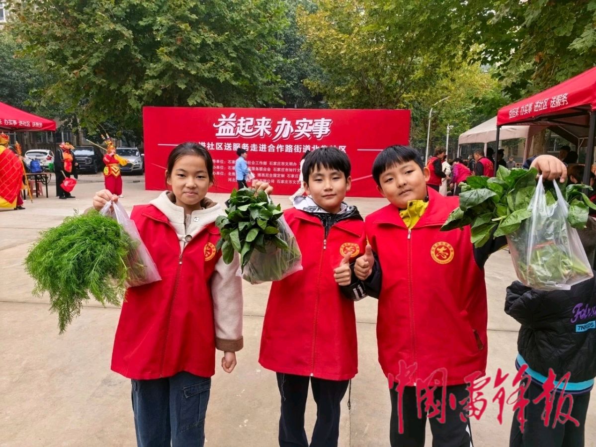 “益起来 办实事”进社区送服务志愿活动走进石家庄泰华园东区（图5）
