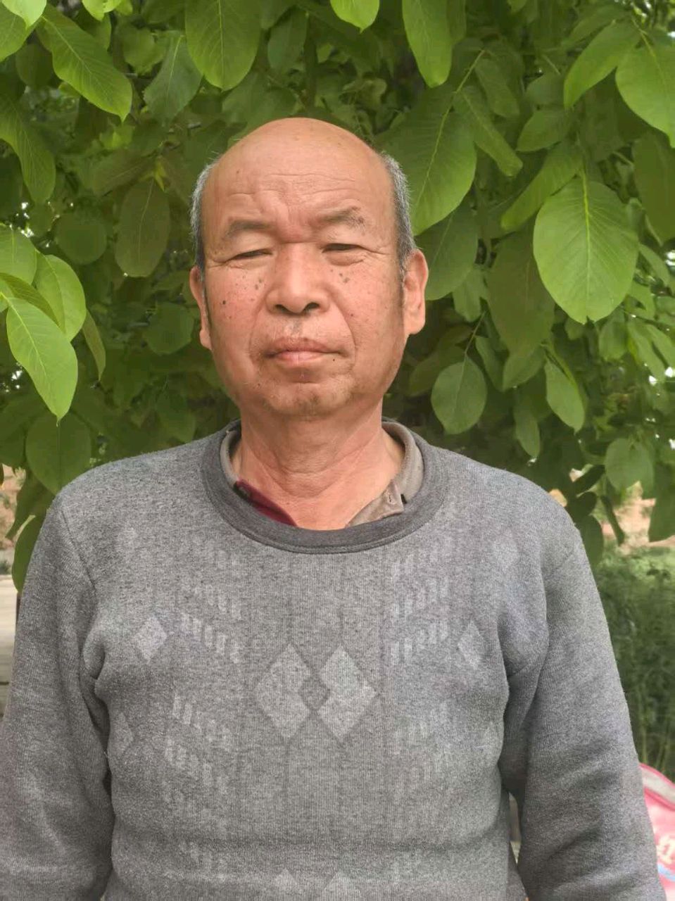 渭河滩上忆发小作者 黄振涛 都市头条-西安头条(图8)