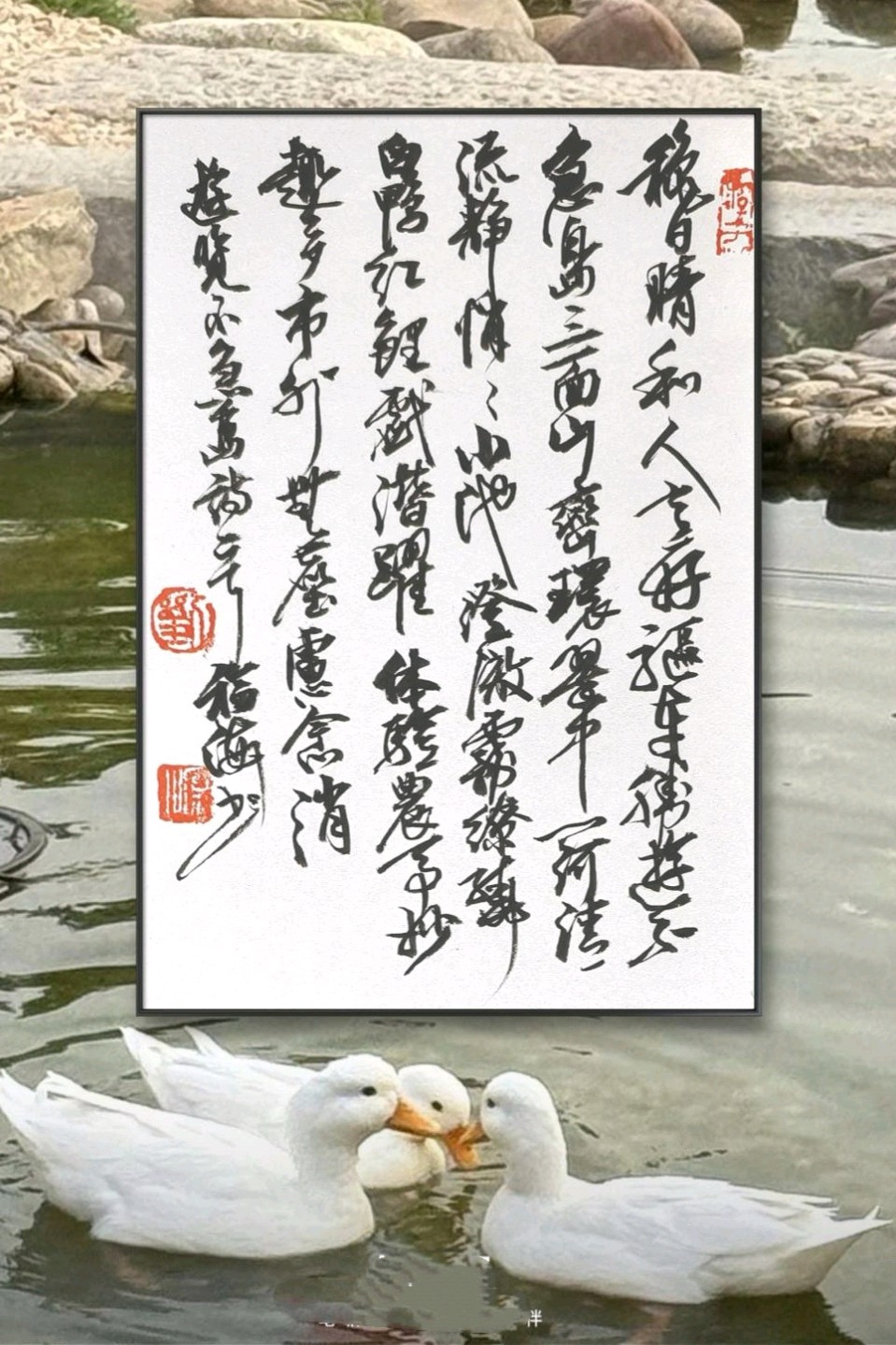 遊览不急岛