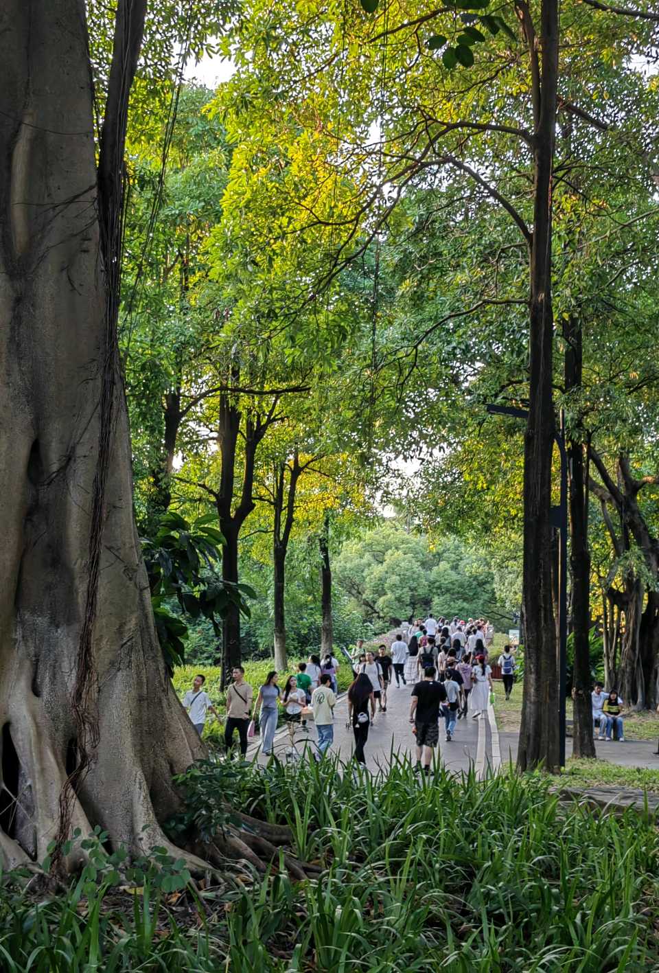 菩萨蛮 . 湖边(二首)文/江冲(图18)