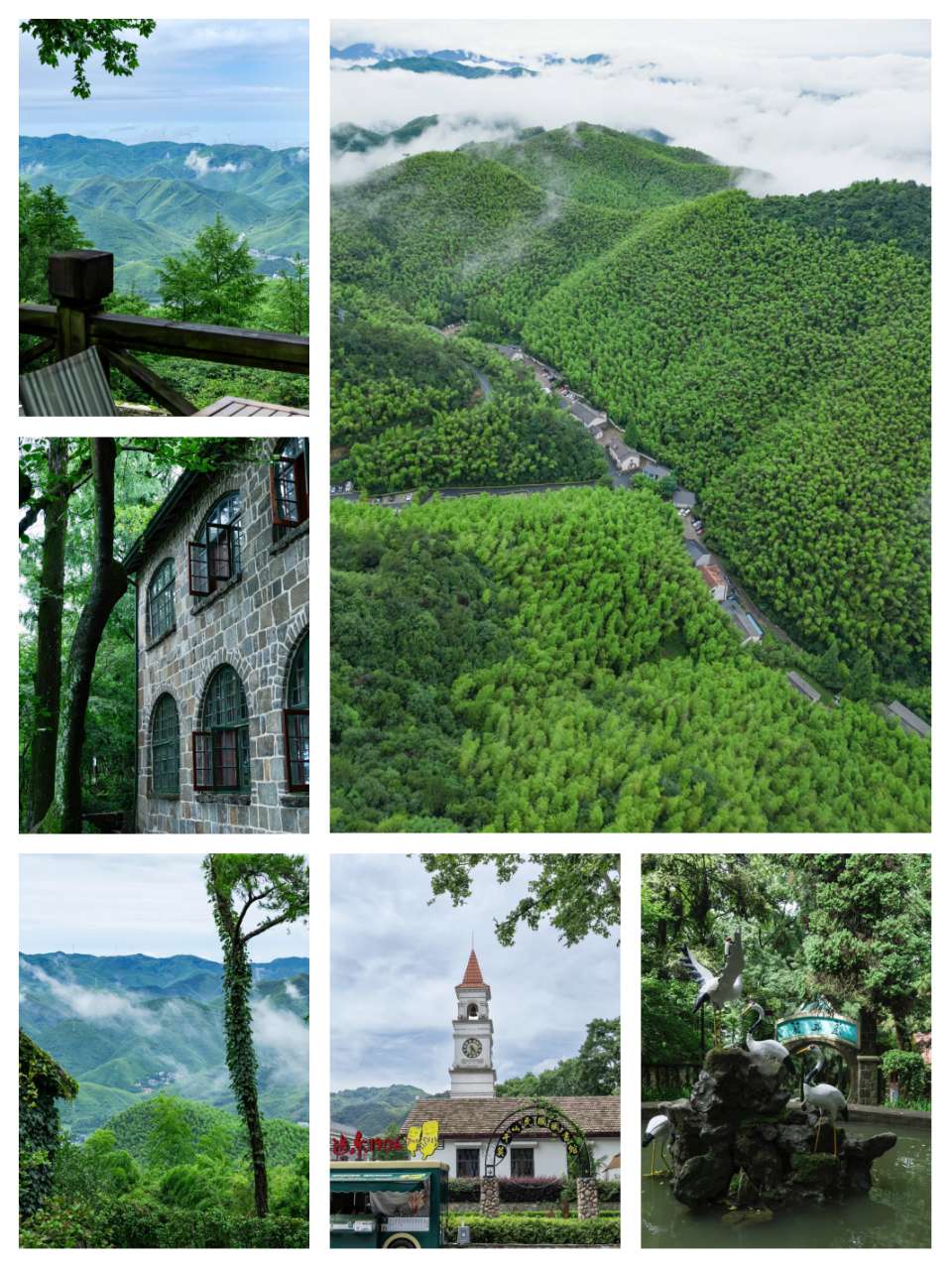 【游记散文】《游兴无尽莫干山》 作者: 姚培安/陕西扶风（图8）