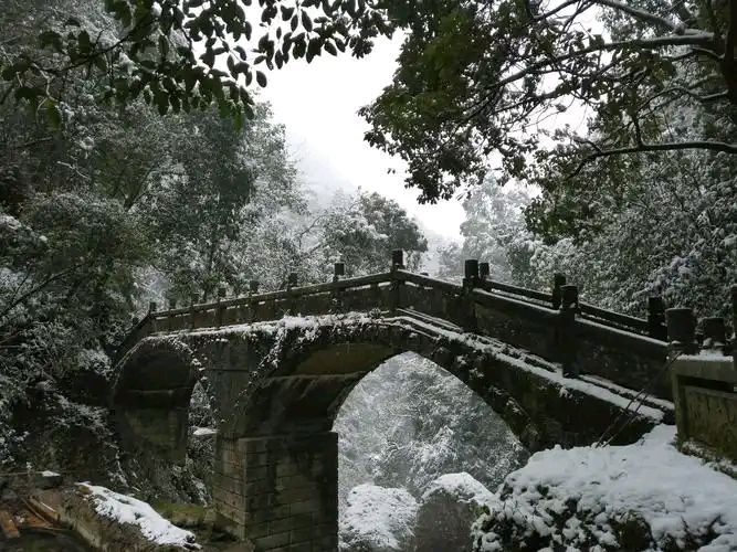 请欣赏《霜降（五首》作者/赵华/主播 编辑 英利【中国长江文学社】有声文学平台【第20360期】（图5）