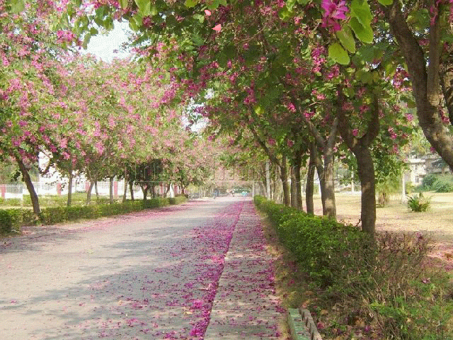 【七律 二首】文/铁军‖诵/旭洋【采菊文苑美文美诵】总10097期(图2)