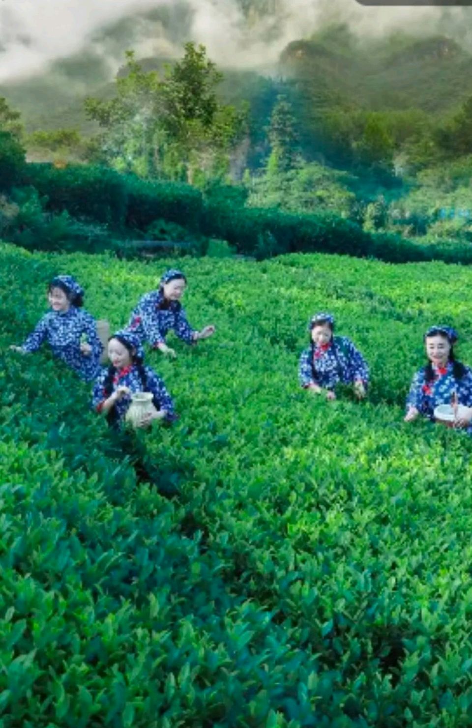 【荣耀中国】文学社*优秀诗人赵建明诗词欣赏(图5)