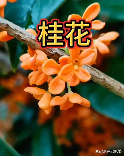 【北京头条】郭章治诗歌专辑049期(图9)
