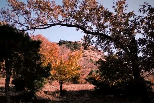 【北京头条】陈曙流诗歌专辑001期（图3）