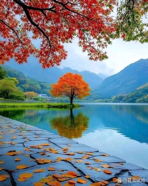 【北京头条】陈曙流诗歌专辑001期（图7）