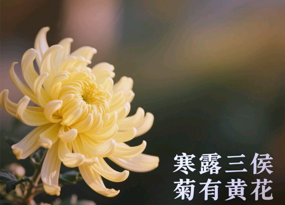 【北京头条】陈曙流诗歌专辑001期(图8)