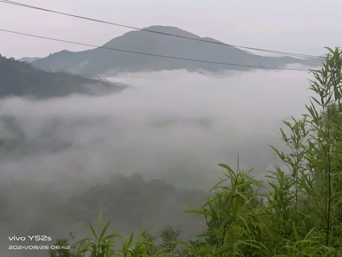 【经典推荐】曾培方//丙午岁重游天柱山（图3）