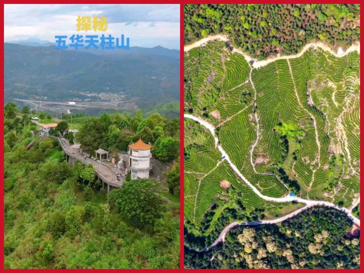 【经典推荐】曾培方//丙午岁重游天柱山（图4）