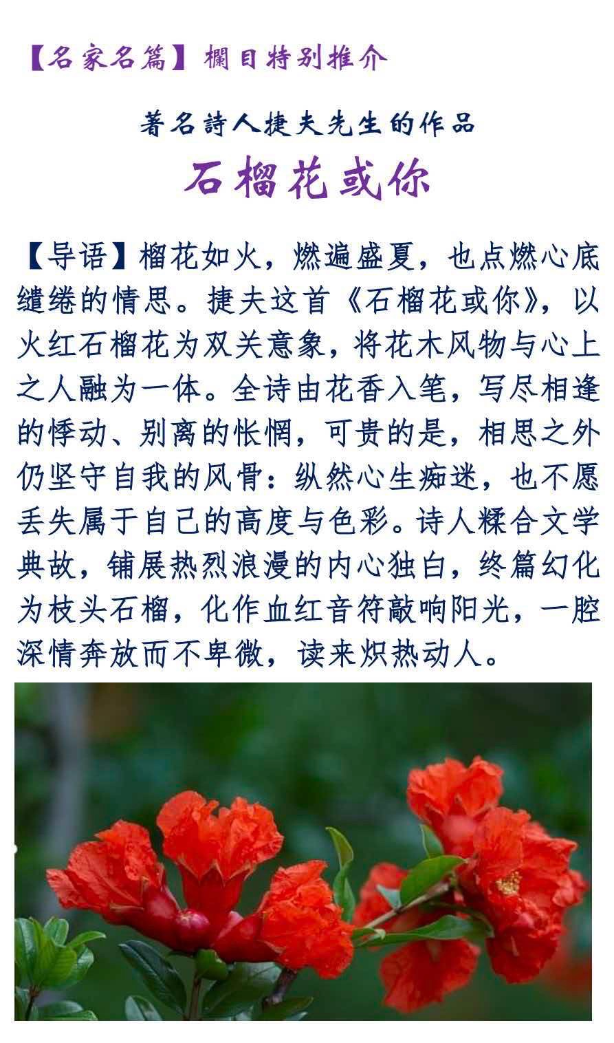 【世界华人文学城】第57期“名家名篇”《石榴花或你》作者：捷夫，诵读：百分百（图5）