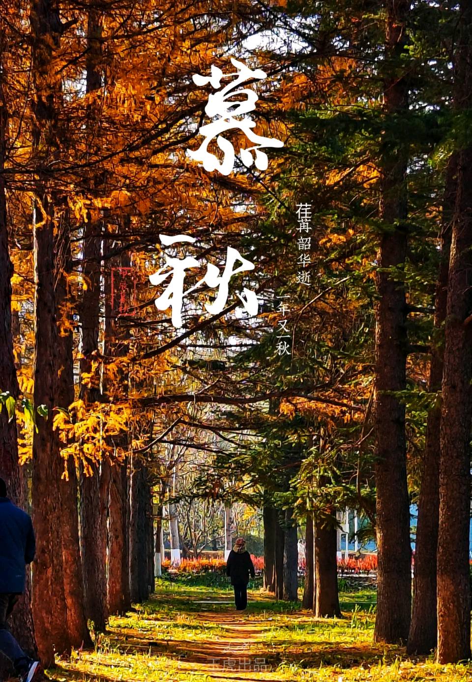 中原精英诗社第142期“暮秋”同题专刊(图9)