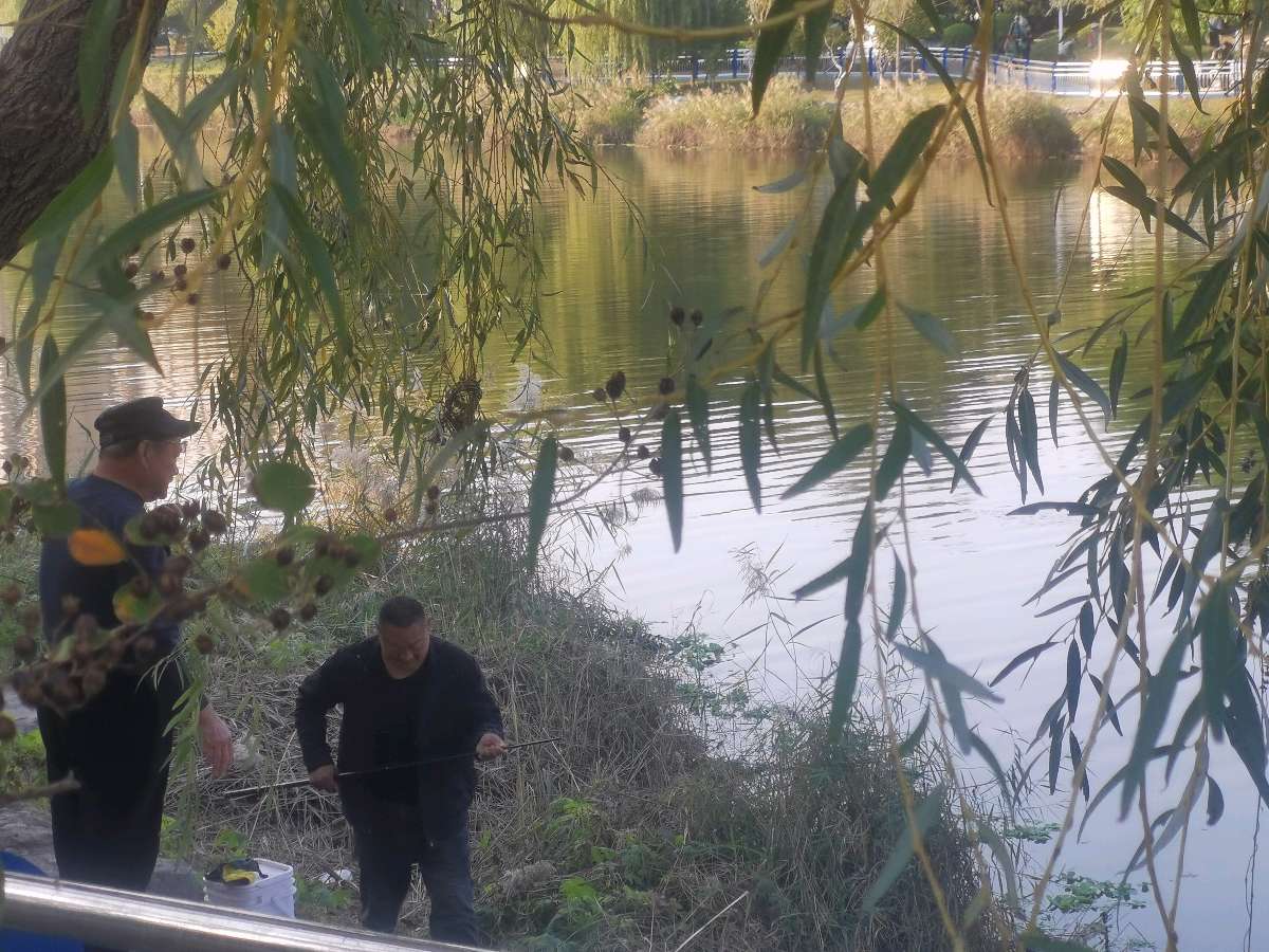 【北京头条】三章读罢各千秋，京山览胜气韵遒。冬咏一丛花影瘦，秋吟鹧鸪墨香浮。步韵偏能出新意，裁诗每见运深谋。最怜香破玲珑处，一字拈来万古眸。