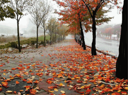 醉花阴《暮秋赏雨》（外一首） 作者:梁正明（重庆）（图4）
