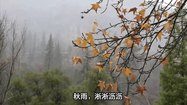 醉花阴《暮秋赏雨》（外一首） 作者:梁正明（重庆）（图6）