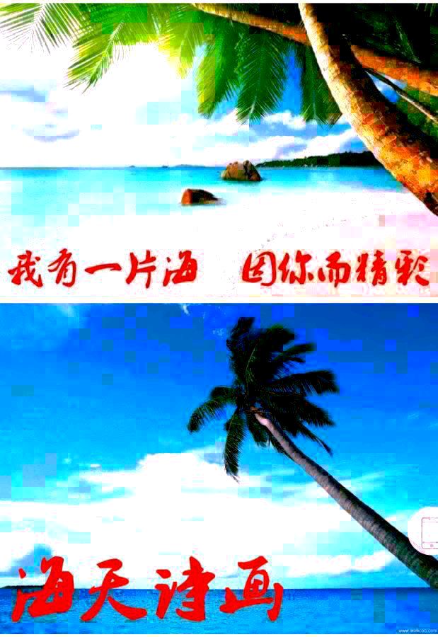 《海天诗画》名家精品诗词三首作者‖小辉（广州）（图9）