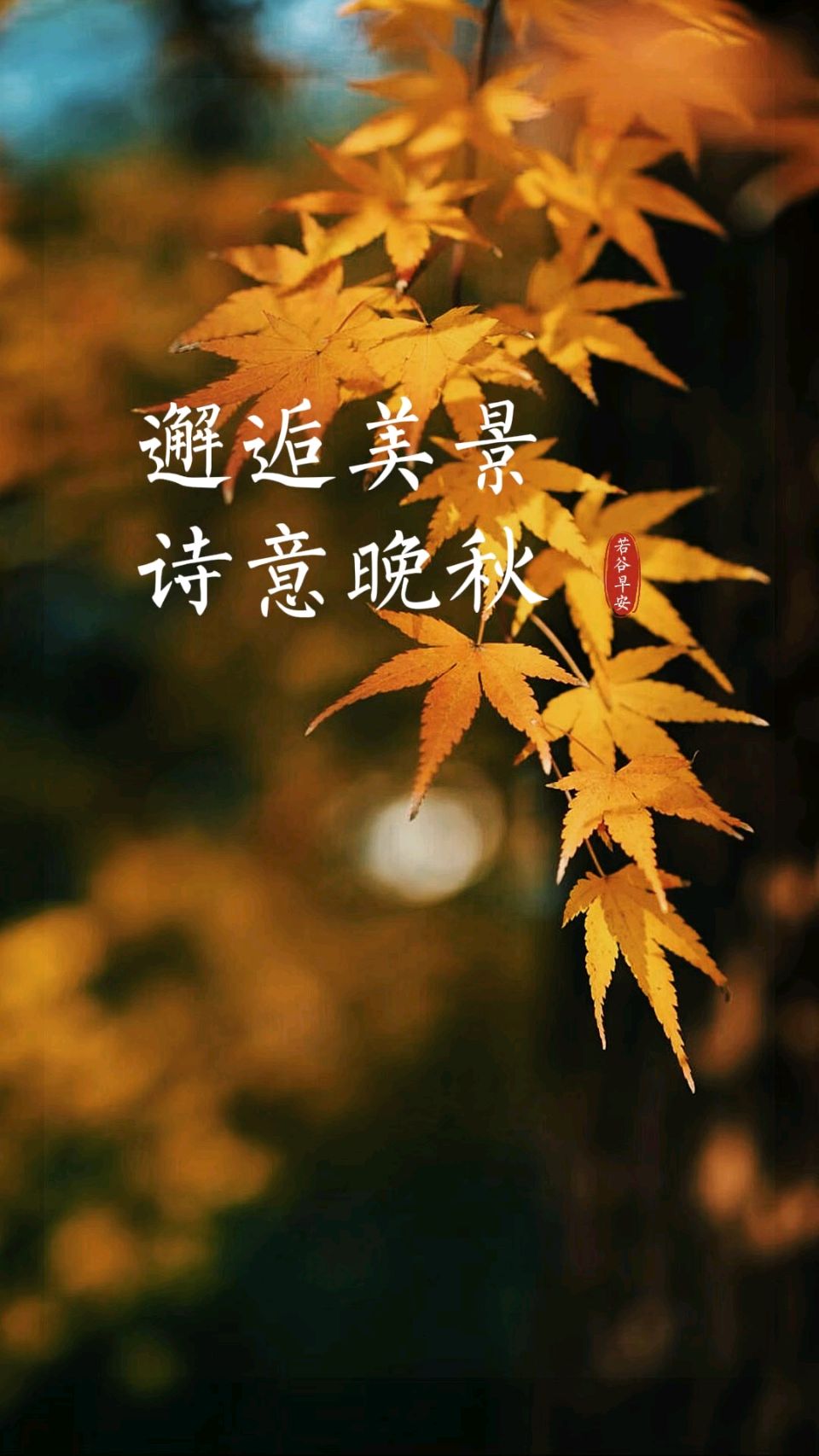 自由体《秋深温心》外一首/文/郑金波（图2）