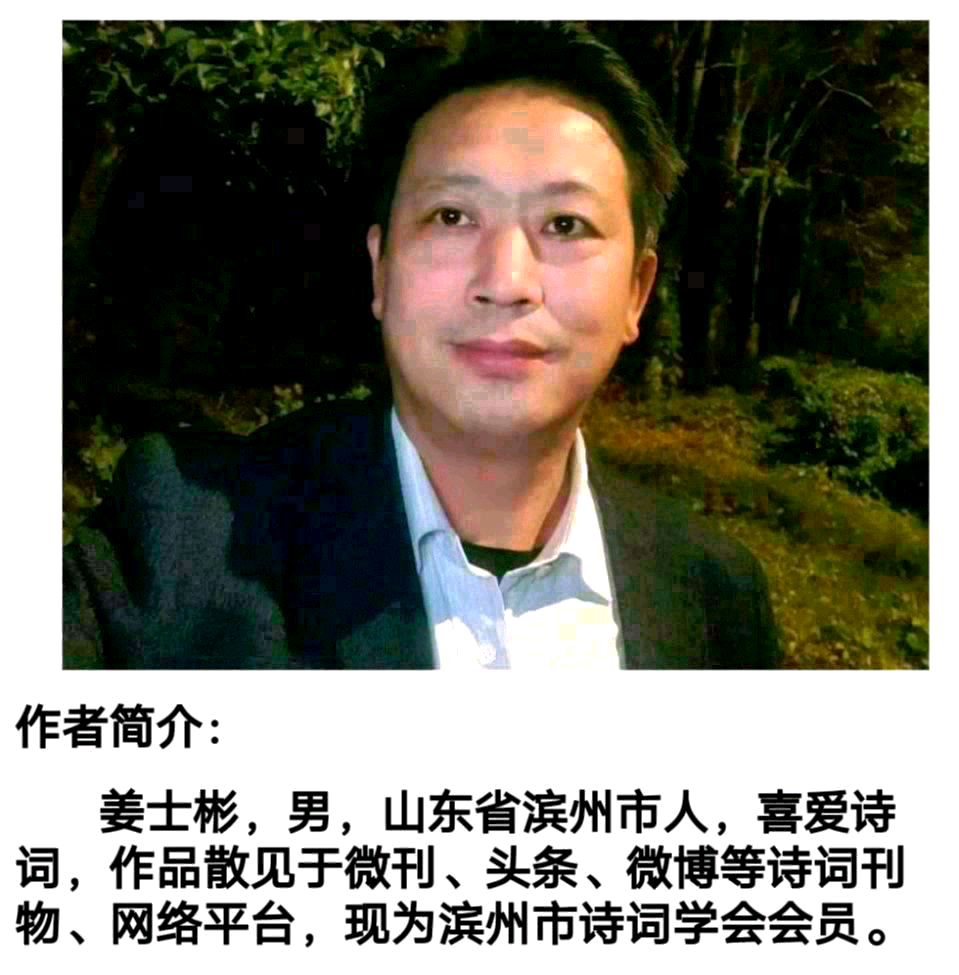 《海天诗画》名家精品秋夜灯火诗‖姜士彬（山东）（图5）