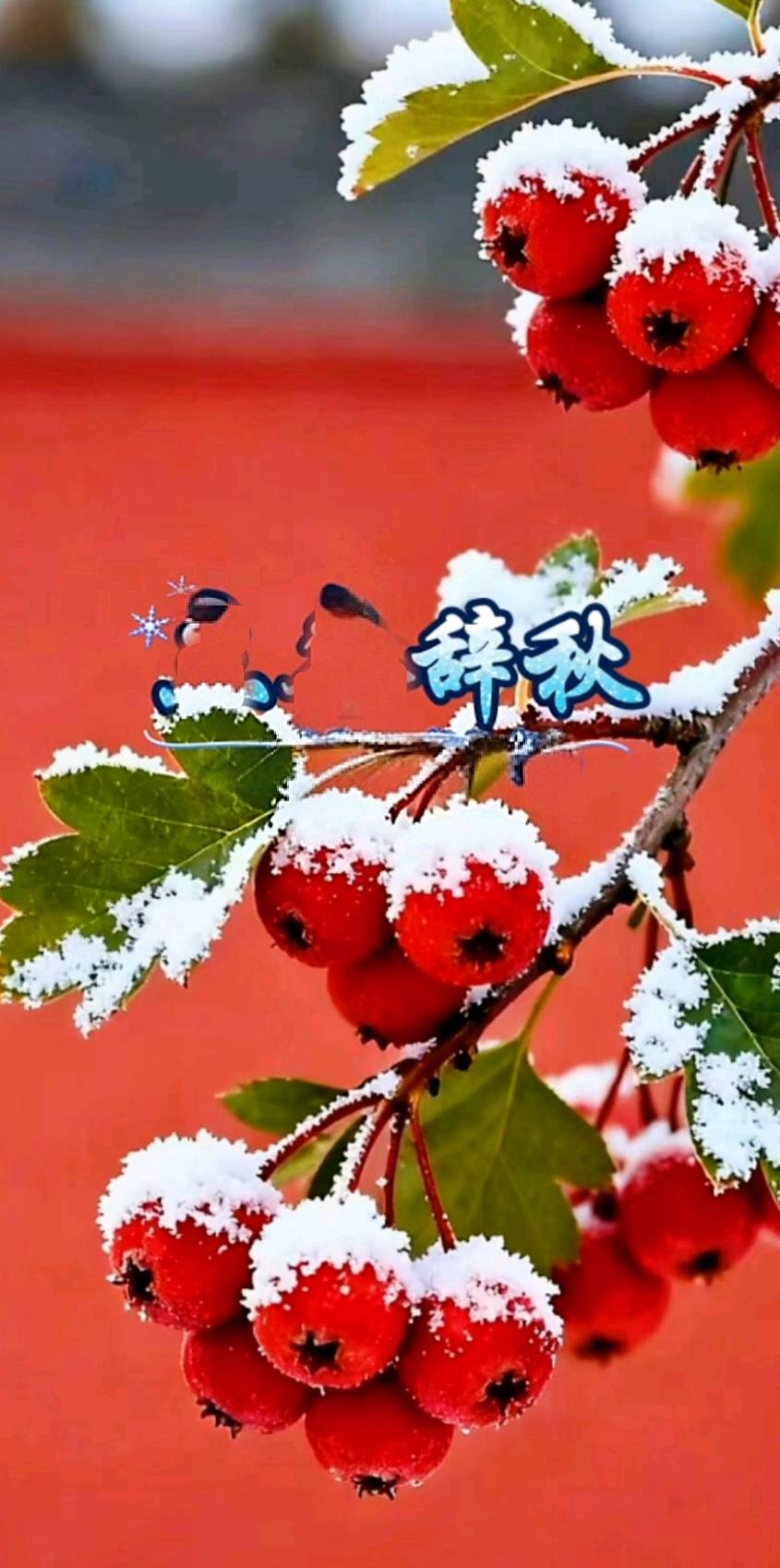 昌图诗词十月份练笔《西江月》专辑总第86期(图16)
