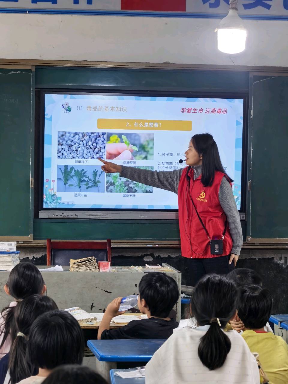 邵东市牛马司镇:“青禾护航”进课堂 无毒清风护青苗(图2)