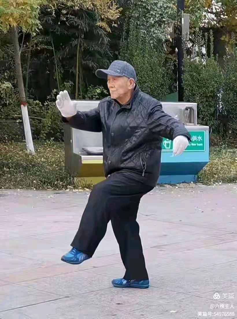 三大文体对仗用法总括(讲座十三)撰稿:中清(图3)