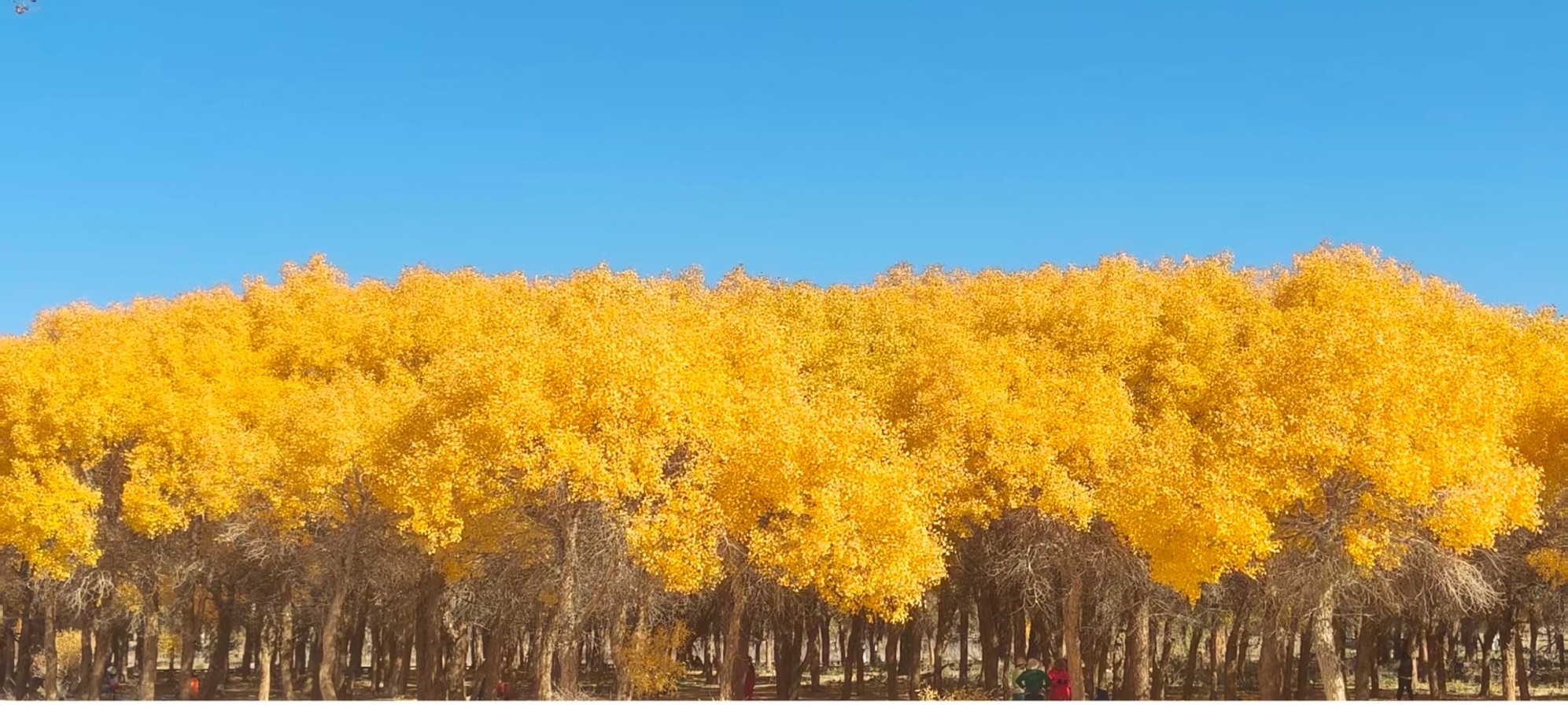 岁月中国华夏诗社286期精选(图7)