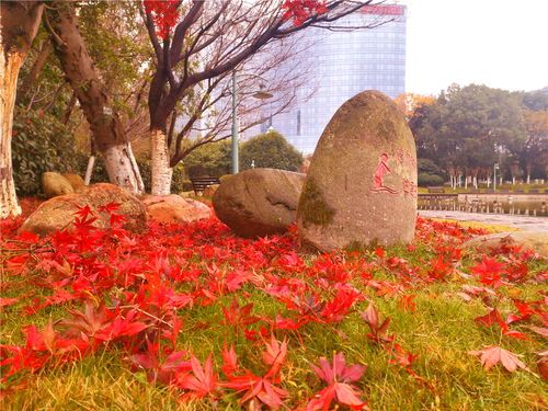 请欣赏《七律.五首》作者/王鑫 主播/海浪 编辑/治新【中国长江文学社】有声文学平台【第20394期】（图4）