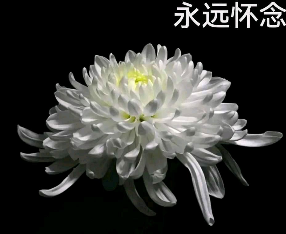 痛悼邢宪高父子先后罹难 文/孙伯良(图3)