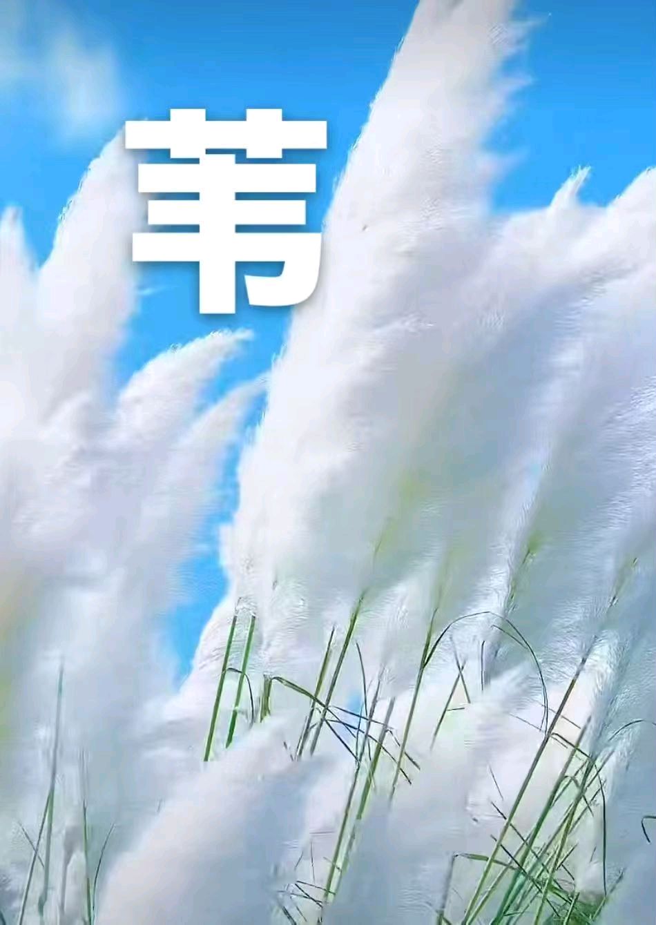 武庆森2026年10月练笔77首（图17）