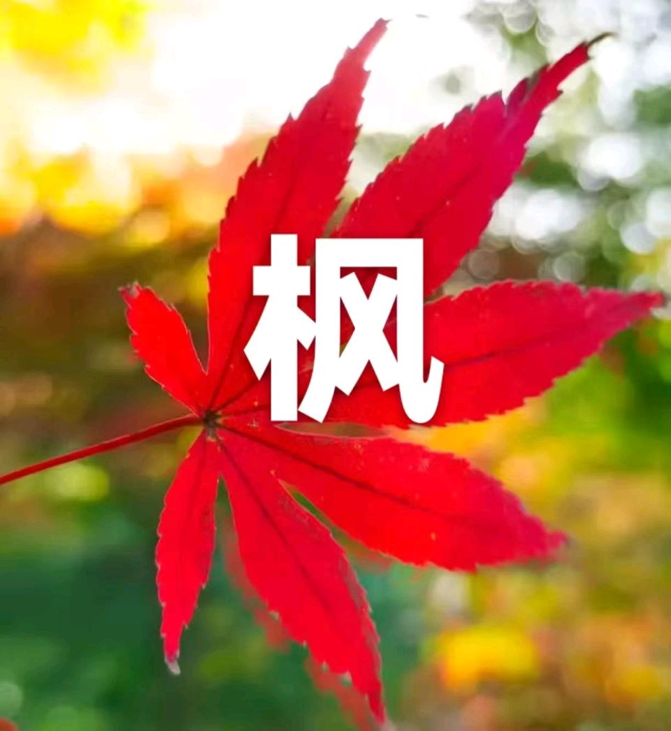 武庆森2026年10月练笔77首（图2）
