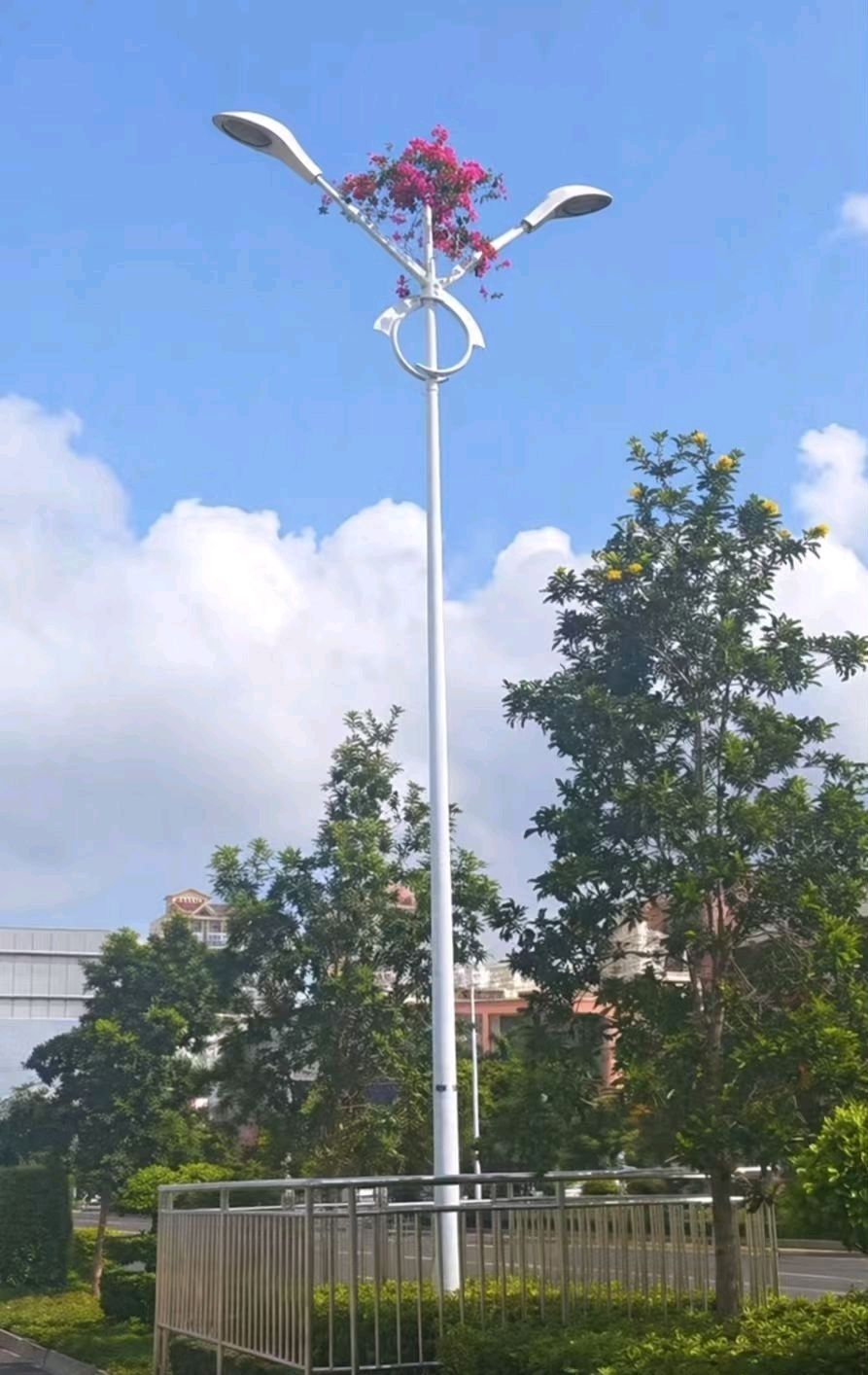 咏灯杆三角梅～赵景阳（河北）（图9）