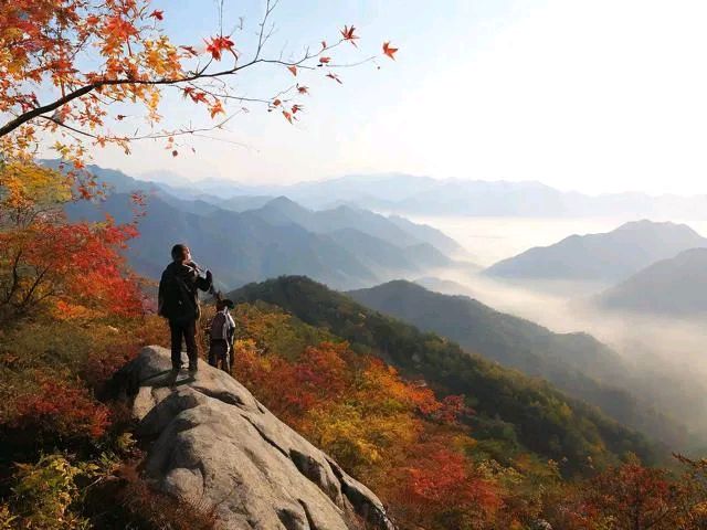 【荣耀中国】文学社*豋高(新韵)作者/李俊清(甘肃)(图3)