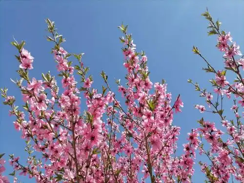【北京头条】尹怀亮三行诗歌专辑004期（图4）