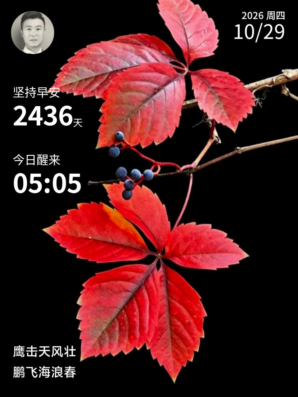 叶落知秋深    心静知岁安