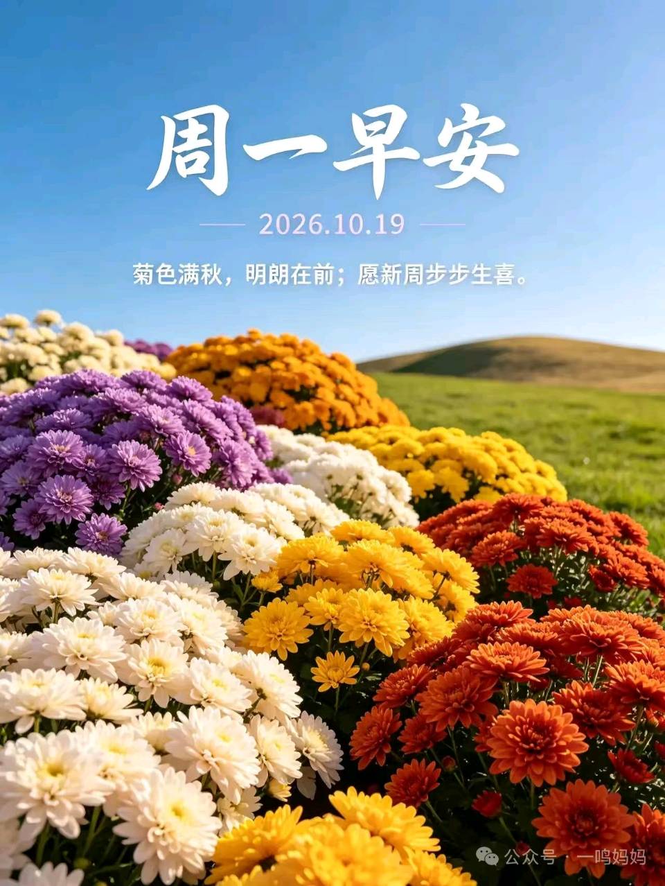 许日辉/丙午深秋时节闲吟偶得(图4)