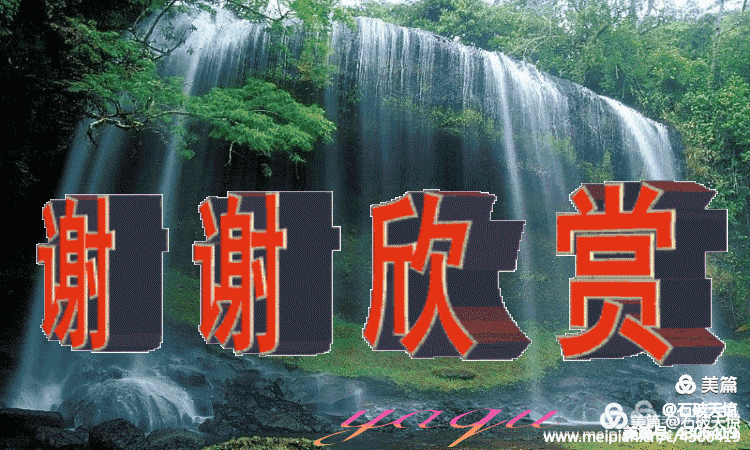 陝甘两邦司寇 任秉璋（图11）
