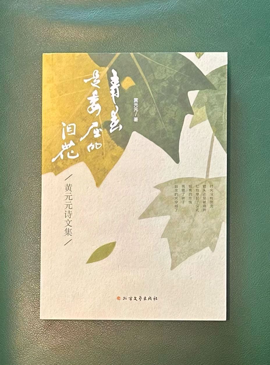 艺术家黄元元博士书法作品欣赏 编辑/智者见智（图8）