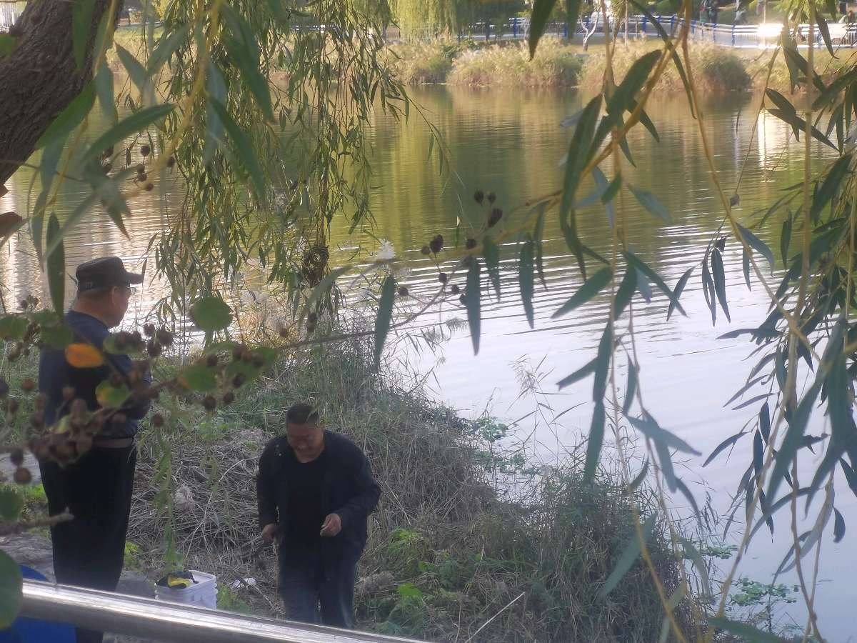 【北京头条】霜天寥廓雁初飞，万木含霜减翠微。水落石出沙岸阔，云闲天淡夕阳稀。黄花尚抱枝头老，红叶偏随客路归。莫叹荣枯皆有数，且斟浊酒对斜晖。