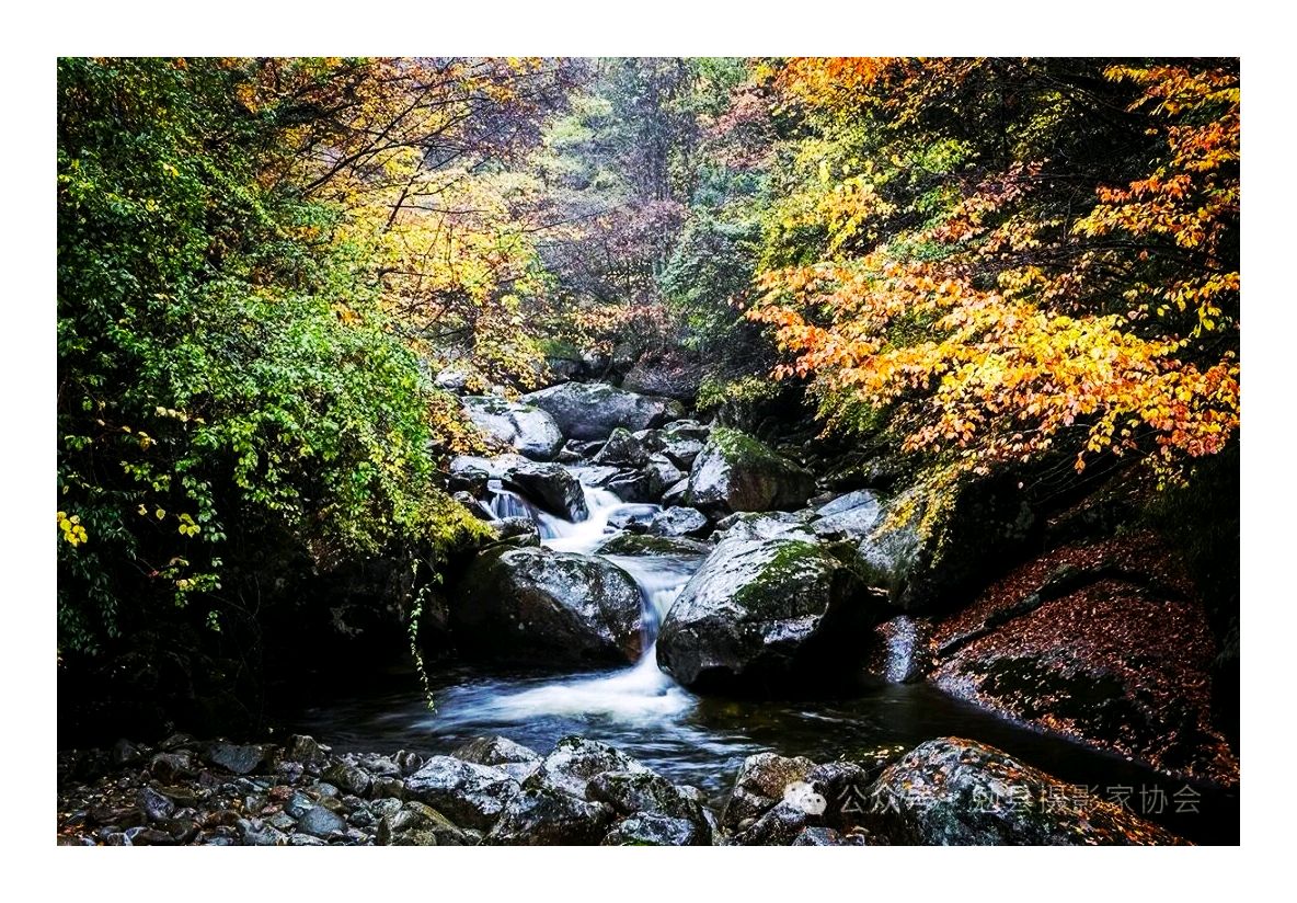 走进米仓山‖我去汉中看红叶了（图11）