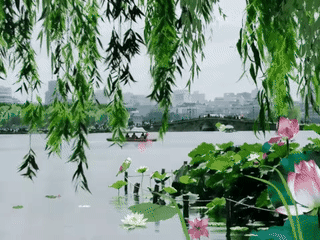 【北京诗社】张伟祖老师诗词专辑(图10)